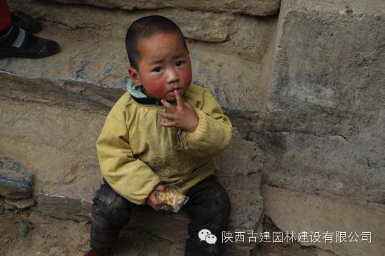 1526010265121900.png Snip20180511_8.png