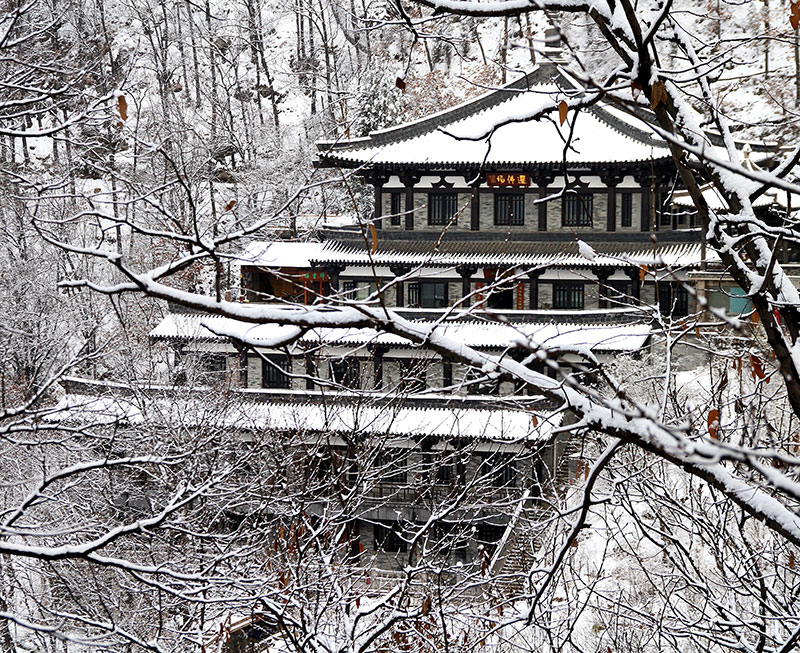 1526291060114924.jpg 净业寺-(4).jpg