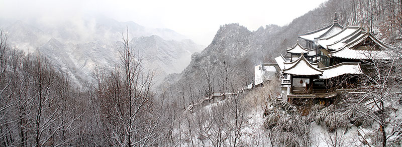 1526291068865153.jpg 净业寺-(1).jpg