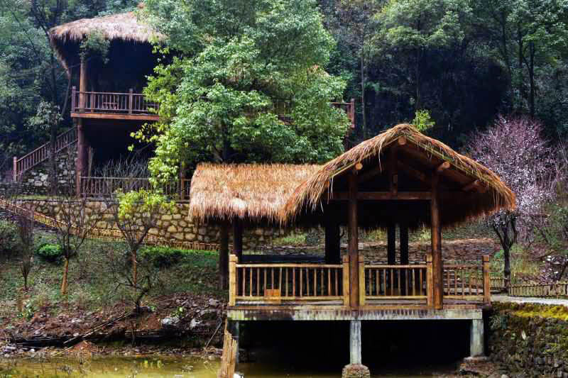 1526292980126750.jpg 627185595057743654.jpg