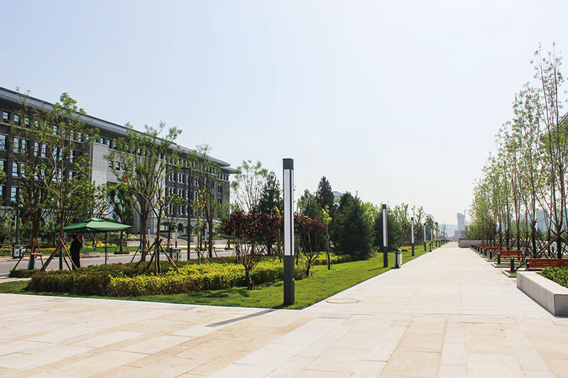 1526293633416461.jpg IMG_0307.jpg