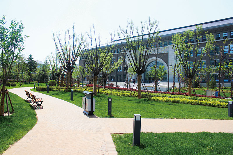 1526293640438924.jpg IMG_0337.jpg