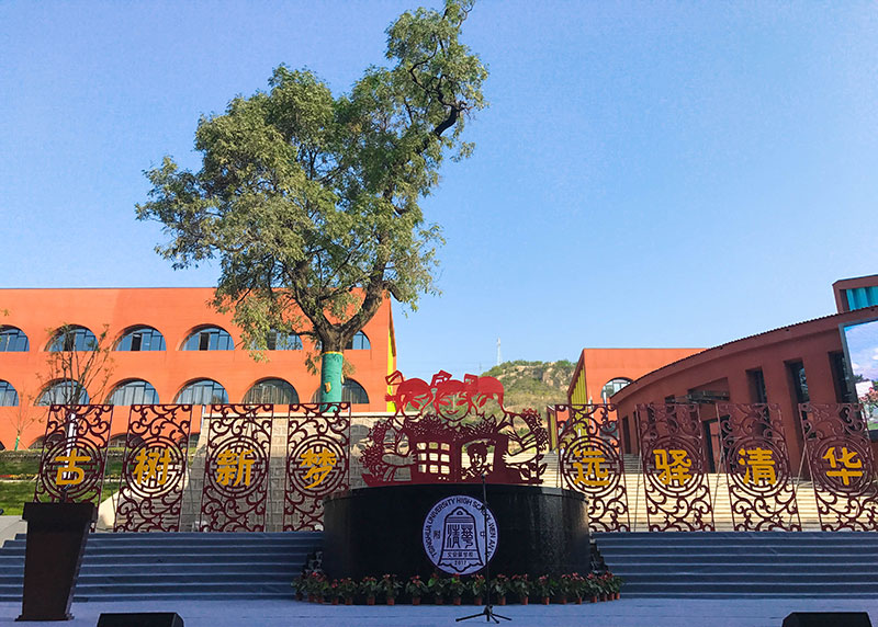 1526295499346190.jpg 微信图片_20180111112341.jpg