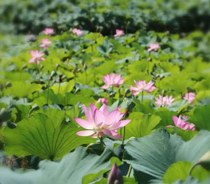 1604369212185466.png image.png