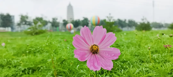 1604369344579681.png image.png