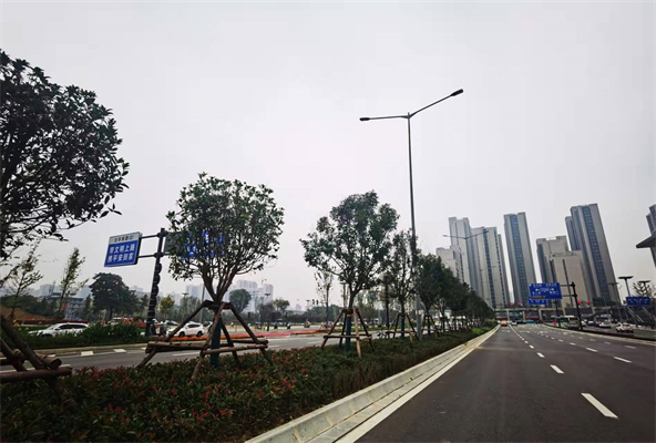 1646190400122829.jpg 1646190400122829.jpg