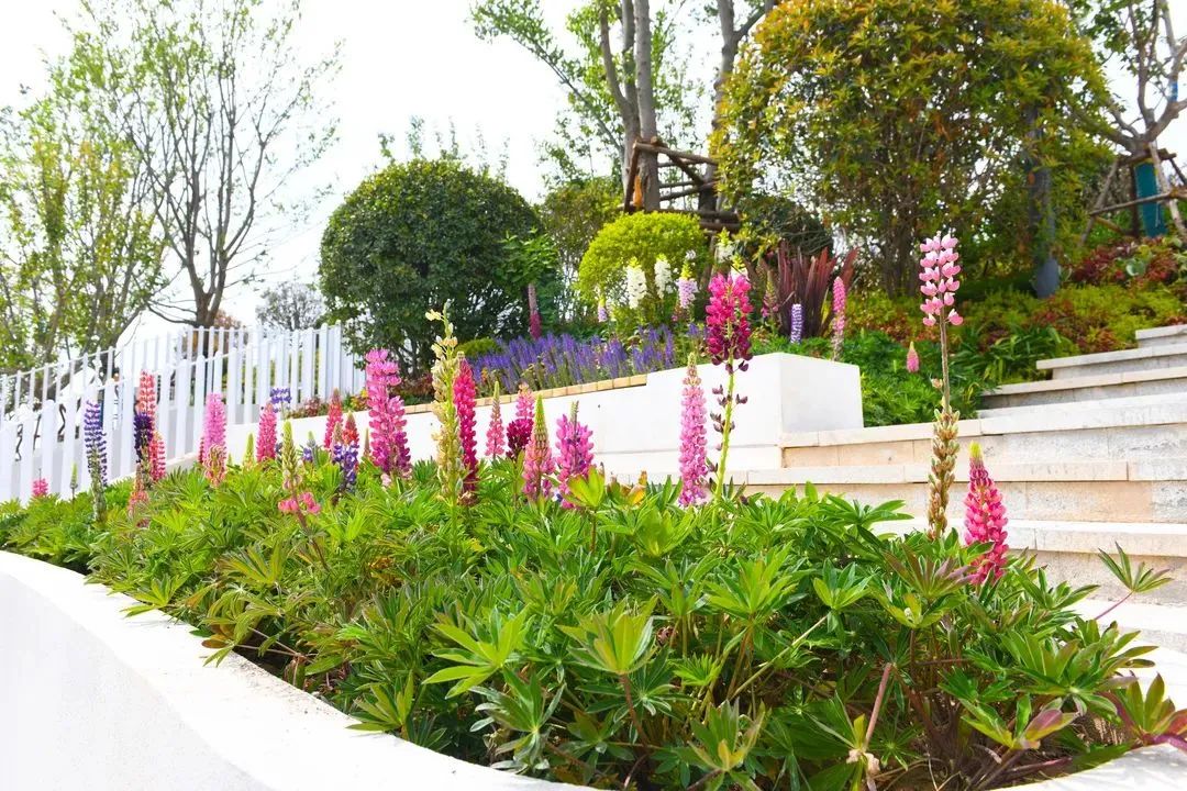 1655436818200011.jpg 3.jpg