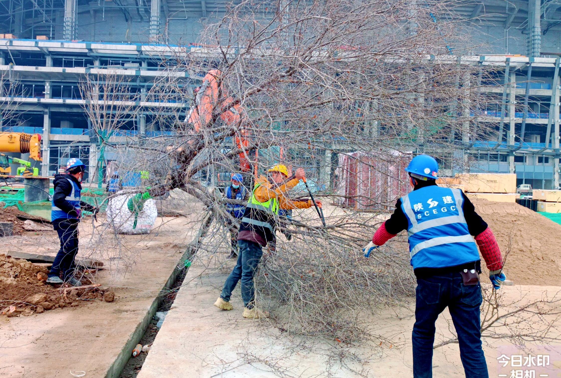 1677144129543964.jpg 修剪教学冲在一线_副本.jpg